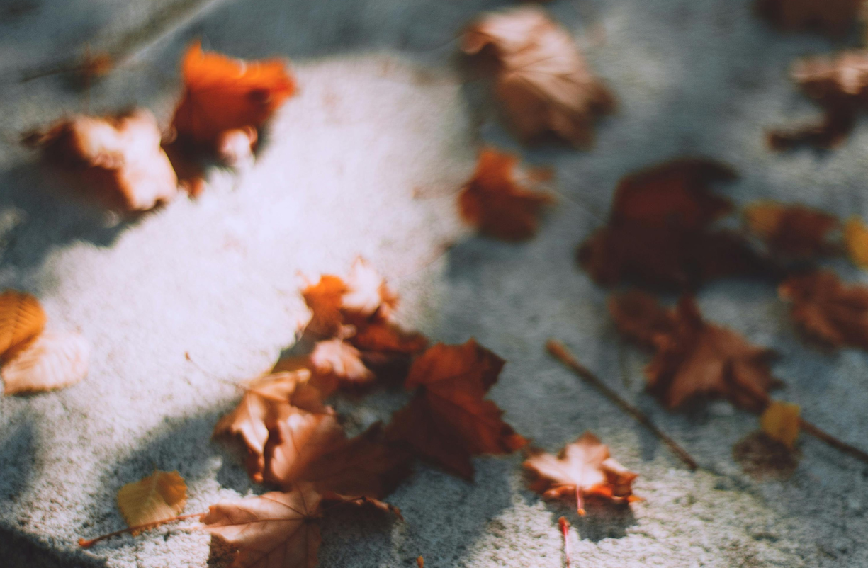 Funeral Mass St. Luke